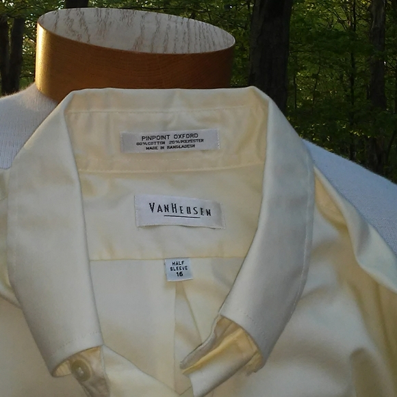 Dogs! on Yellow - Picture 5 of 6